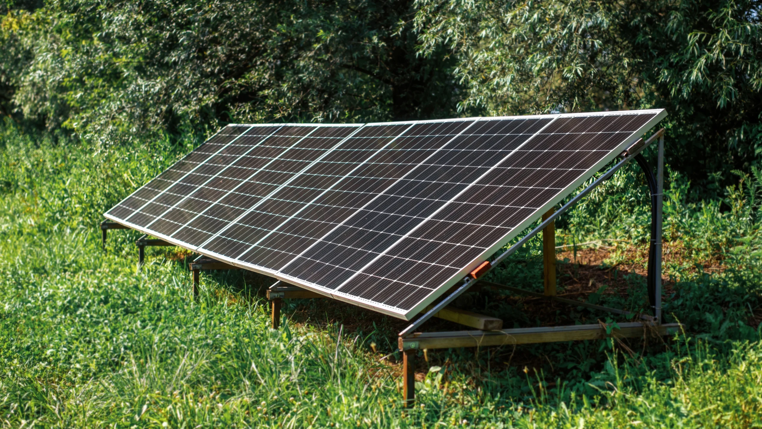 bifacial solar module